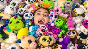 Leia mais sobre o artigo Limpeza de Bichos de Pelúcias