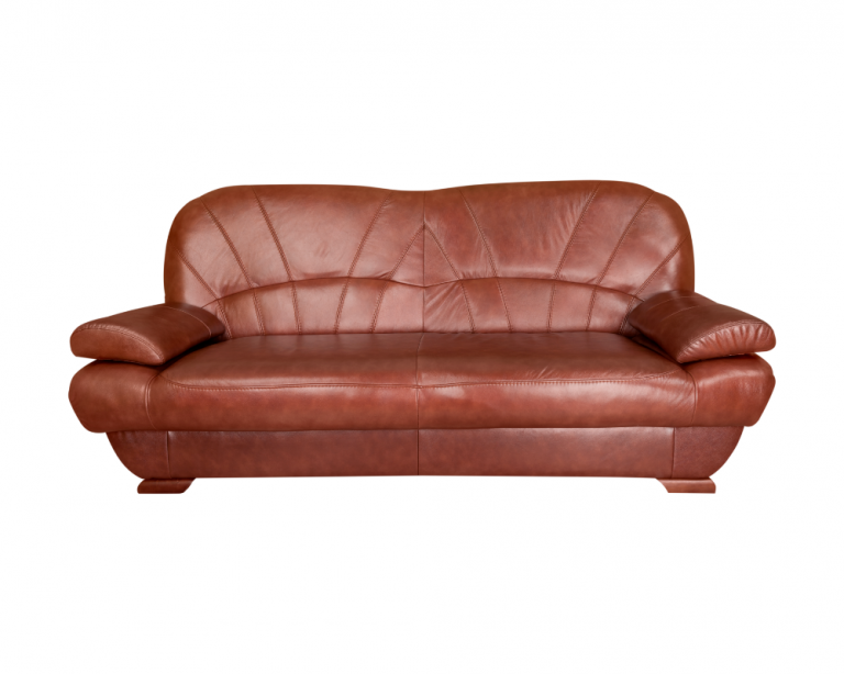 Leia mais sobre o artigo HIGIENIZAÇÃO DE COURO