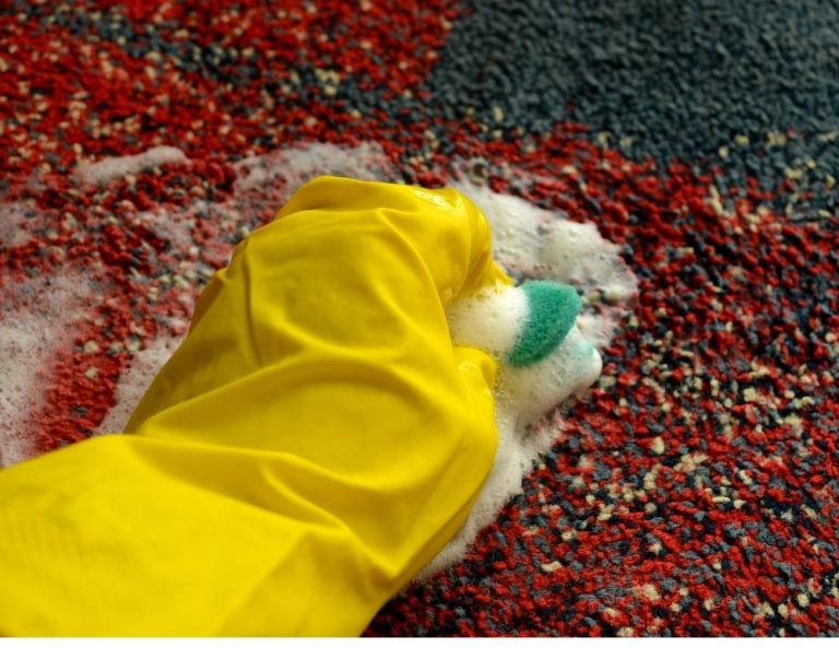 Leia mais sobre o artigo Como Realizar Limpeza de Tapete Orientais