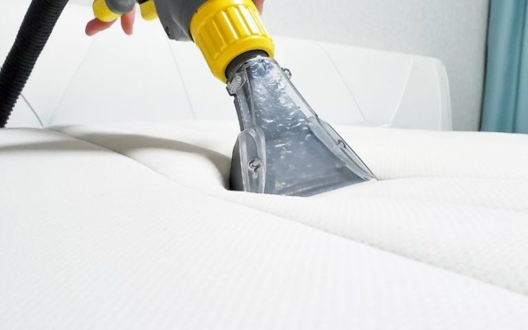 Leia mais sobre o artigo Limpeza e Higienização de Sofá em Alphaville – Barueri